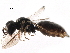  ( - CCDB-28918-B05)  @14 [ ] CreativeCommons - Attribution (2015) CBG Photography Group Centre for Biodiversity Genomics