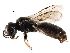  ( - CCDB-28918-B08)  @15 [ ] CreativeCommons - Attribution (2015) CBG Photography Group Centre for Biodiversity Genomics