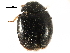  ( - CCDB-28921-C01)  @11 [ ] CreativeCommons - Attribution (2015) CBG Photography Group Centre for Biodiversity Genomics