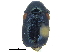  ( - CCDB-28923-D06)  @11 [ ] CreativeCommons - Attribution (2015) CBG Photography Group Centre for Biodiversity Genomics
