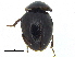  ( - CCDB-28924-H05)  @11 [ ] CreativeCommons - Attribution (2015) CBG Photography Group Centre for Biodiversity Genomics