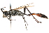  ( - CCDB-28925-A05)  @14 [ ] CreativeCommons - Attribution (2015) CBG Photography Group Centre for Biodiversity Genomics