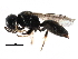 ( - CCDB-28925-H01)  @15 [ ] CreativeCommons - Attribution (2015) CBG Photography Group Centre for Biodiversity Genomics
