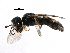  ( - CCDB-28925-H02)  @14 [ ] CreativeCommons - Attribution (2015) CBG Photography Group Centre for Biodiversity Genomics