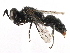  ( - CCDB-28926-A05)  @15 [ ] CreativeCommons - Attribution (2015) CBG Photography Group Centre for Biodiversity Genomics