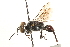  ( - CCDB-28926-D10)  @11 [ ] CreativeCommons - Attribution (2015) CBG Photography Group Centre for Biodiversity Genomics