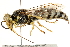  ( - CCDB-28926-H11)  @11 [ ] CreativeCommons - Attribution (2015) CBG Photography Group Centre for Biodiversity Genomics