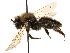  ( - CCDB-28927-D10)  @11 [ ] CreativeCommons - Attribution (2015) CBG Photography Group Centre for Biodiversity Genomics