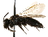 ( - CCDB-28927-D12)  @11 [ ] CreativeCommons - Attribution (2015) CBG Photography Group Centre for Biodiversity Genomics
