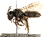  ( - CCDB-28927-E06)  @11 [ ] CreativeCommons - Attribution (2015) CBG Photography Group Centre for Biodiversity Genomics