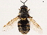  ( - CCDB-35814-C05)  @11 [ ] CreativeCommons - Attribution (2020) CBG Photography Group Centre for Biodiversity Genomics