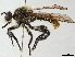  ( - CCDB-35814-C12)  @11 [ ] CreativeCommons - Attribution (2020) CBG Photography Group Centre for Biodiversity Genomics
