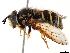  ( - CCDB-35814-F09)  @11 [ ] CreativeCommons - Attribution (2020) CBG Photography Group Centre for Biodiversity Genomics