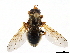  ( - CCDB-35814-H10)  @11 [ ] CreativeCommons - Attribution (2020) CBG Photography Group Centre for Biodiversity Genomics