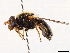  ( - CCDB-35814-H10)  @11 [ ] CreativeCommons - Attribution (2020) CBG Photography Group Centre for Biodiversity Genomics