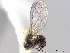  ( - CCDB-35914-B02)  @11 [ ] CreativeCommons - Attribution (2020) CBG Photography Group Centre for Biodiversity Genomics
