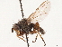  ( - CCDB-35914-C09)  @11 [ ] CreativeCommons - Attribution (2020) CBG Photography Group Centre for Biodiversity Genomics