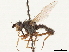  ( - CCDB-35914-C10)  @11 [ ] CreativeCommons - Attribution (2020) CBG Photography Group Centre for Biodiversity Genomics
