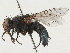  ( - CCDB-35914-D02)  @11 [ ] CreativeCommons - Attribution (2020) CBG Photography Group Centre for Biodiversity Genomics