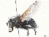  ( - CCDB-35914-E09)  @11 [ ] CreativeCommons - Attribution (2020) CBG Photography Group Centre for Biodiversity Genomics