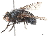  ( - CCDB-35914-E10)  @11 [ ] CreativeCommons - Attribution (2020) CBG Photography Group Centre for Biodiversity Genomics