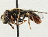  ( - CCDB-35914-G09)  @11 [ ] CreativeCommons - Attribution (2020) CBG Photography Group Centre for Biodiversity Genomics