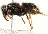  ( - CCDB-35915-C10)  @11 [ ] CreativeCommons - Attribution (2020) CBG Photography Group Centre for Biodiversity Genomics