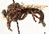  ( - CCDB-35915-F05)  @11 [ ] CreativeCommons - Attribution (2020) CBG Photography Group Centre for Biodiversity Genomics