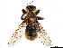  ( - CCDB-35915-G09)  @11 [ ] CreativeCommons - Attribution (2020) CBG Photography Group Centre for Biodiversity Genomics