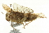  ( - BIOUG02791-B01)  @11 [ ] CreativeCommons - Attribution (2012) CBG Photography Group Centre for Biodiversity Genomics