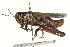 ( - BIOUG02790-G07)  @13 [ ] CreativeCommons - Attribution (2012) CBG Photography Group Centre for Biodiversity Genomics