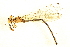  ( - BIOUG02811-C11)  @11 [ ] CreativeCommons - Attribution (2012) CBG Photography Group Centre for Biodiversity Genomics