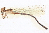  ( - BIOUG02811-C12)  @11 [ ] CreativeCommons - Attribution (2012) CBG Photography Group Centre for Biodiversity Genomics