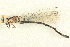  ( - BIOUG02811-D01)  @11 [ ] CreativeCommons - Attribution (2012) CBG Photography Group Centre for Biodiversity Genomics