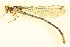  ( - BIOUG02811-D03)  @11 [ ] CreativeCommons - Attribution (2012) CBG Photography Group Centre for Biodiversity Genomics