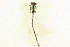  ( - BIOUG02811-D04)  @13 [ ] CreativeCommons - Attribution (2012) CBG Photography Group Centre for Biodiversity Genomics