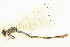  ( - BIOUG02811-D05)  @11 [ ] CreativeCommons - Attribution (2012) CBG Photography Group Centre for Biodiversity Genomics