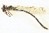  ( - BIOUG02811-D06)  @11 [ ] CreativeCommons - Attribution (2012) CBG Photography Group Centre for Biodiversity Genomics