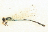  ( - BIOUG02811-D07)  @11 [ ] CreativeCommons - Attribution (2012) CBG Photography Group Centre for Biodiversity Genomics