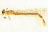  ( - BIOUG02811-D09)  @11 [ ] CreativeCommons - Attribution (2012) CBG Photography Group Centre for Biodiversity Genomics