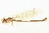  ( - BIOUG02811-E09)  @11 [ ] CreativeCommons - Attribution (2012) CBG Photography Group Centre for Biodiversity Genomics