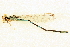  ( - BIOUG02811-E10)  @12 [ ] CreativeCommons - Attribution (2012) CBG Photography Group Centre for Biodiversity Genomics