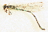 ( - BIOUG02811-E11)  @11 [ ] CreativeCommons - Attribution (2012) CBG Photography Group Centre for Biodiversity Genomics