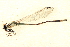  ( - BIOUG02811-F04)  @11 [ ] CreativeCommons - Attribution (2012) CBG Photography Group Centre for Biodiversity Genomics