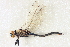  ( - BIOUG02812-E07)  @13 [ ] CreativeCommons - Attribution (2012) CBG Photography Group Centre for Biodiversity Genomics