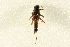  ( - BIOUG02797-C05)  @13 [ ] CreativeCommons - Attribution (2012) CBG Photography Group Centre for Biodiversity Genomics