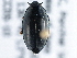  ( - BIOUG09881-B07)  @14 [ ] CreativeCommons - Attribution (2014) CBG Photography Group Centre for Biodiversity Genomics