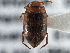  ( - BIOUG09881-G03)  @11 [ ] CreativeCommons - Attribution (2014) CBG Photography Group Centre for Biodiversity Genomics