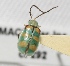  ( - MACN-Bar-Ins-ct 292)  @12 [ ] Copyright (2011) MACN Museo Argentino de Ciencias Naturales 