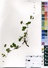  ( - AC_0022)  @11 [ ] No Rights Reserved  Unspecified Unspecified